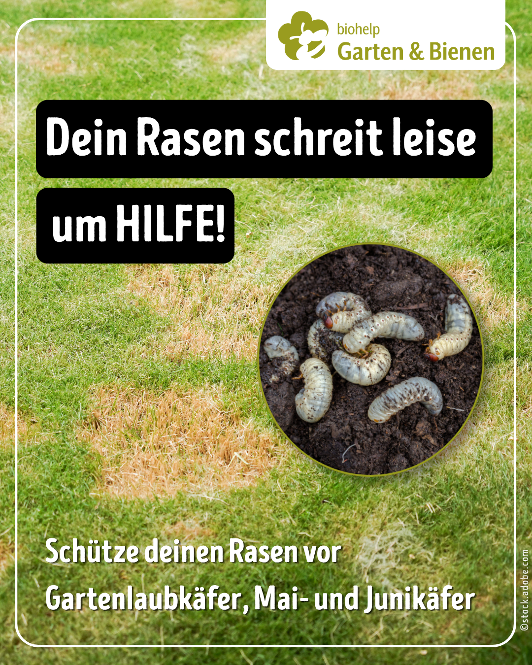 Instagram – biohelp Garten & Bienen