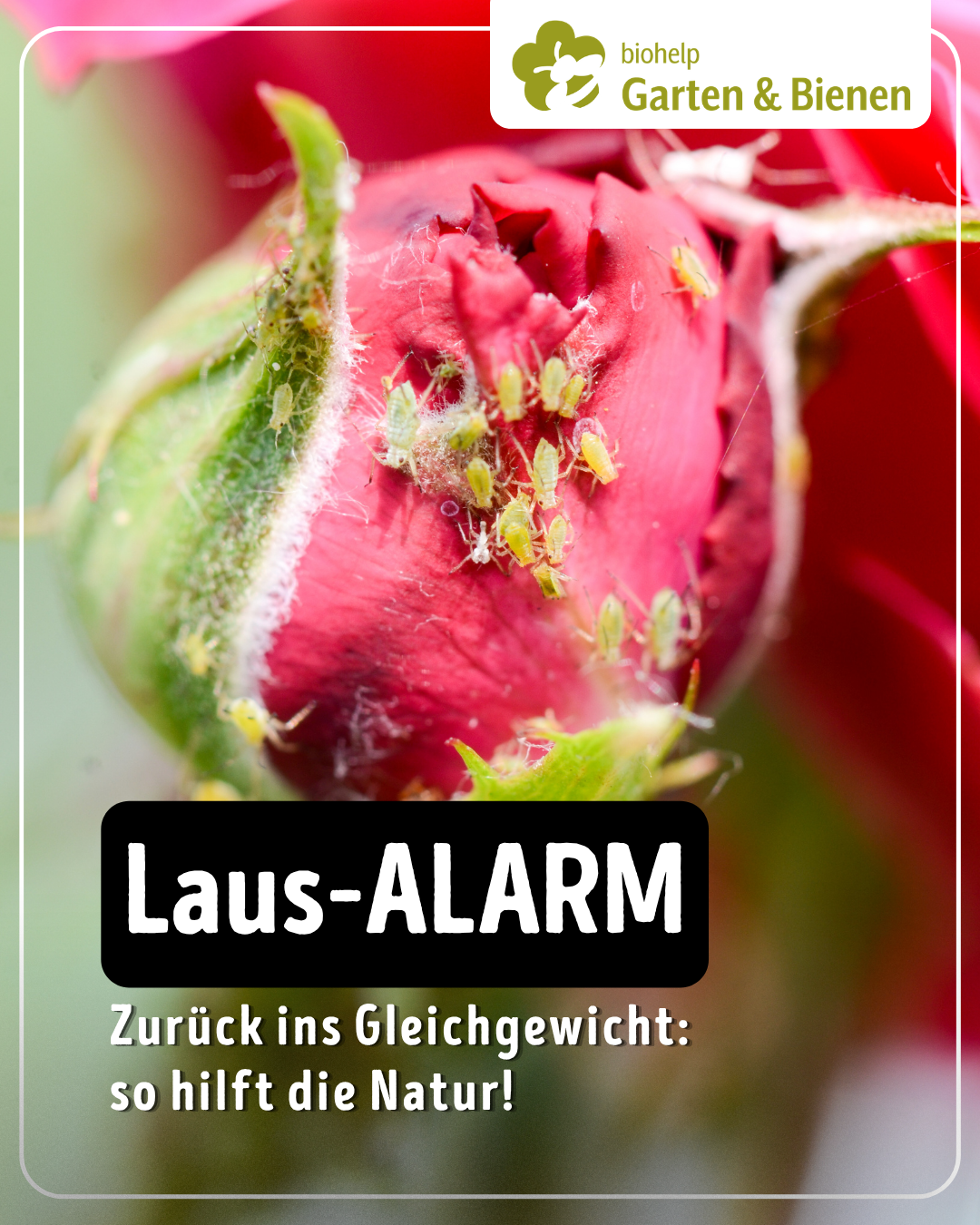 Instagram – biohelp Garten & Bienen