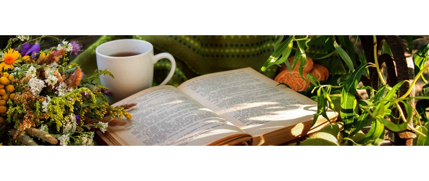 Bücher