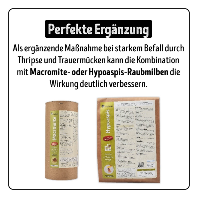 Larven-Stopp - SF-Nematoden gegen Trauermücken- & Thripslarven für 100 m²