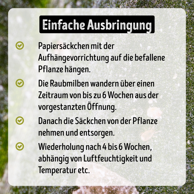 Cucumeris - Raubmilben gegen Thripse, Tee- & Erdbeermilben 10 Säckchen