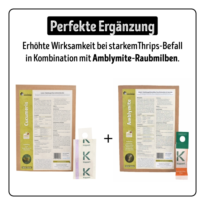 Cucumeris - Raubmilben gegen Thripse, Tee- & Erdbeermilben 10 Säckchen