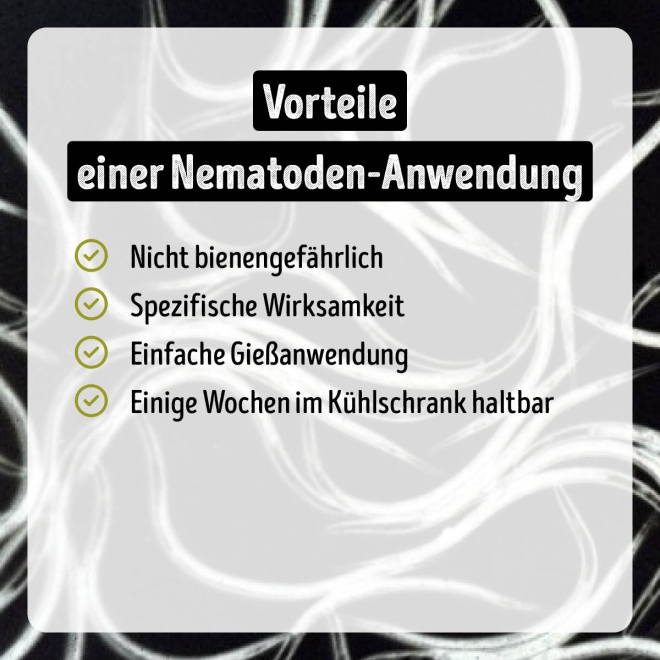 Larven-Stopp - SF-Nematoden gegen Trauermücken- & Thripslarven für 20 m²