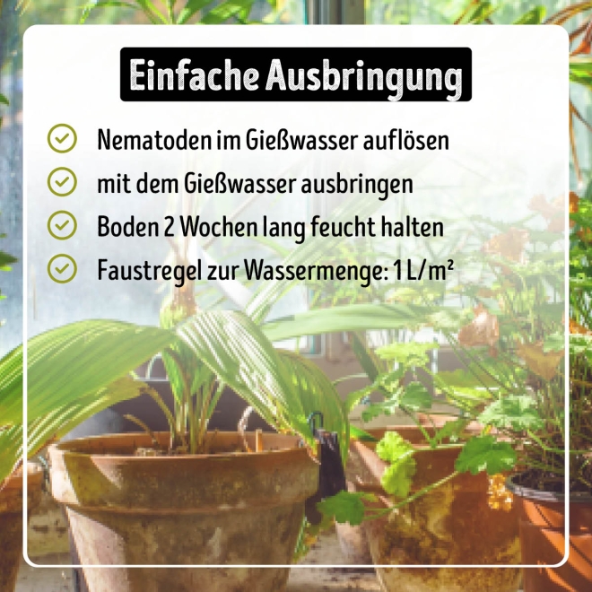 Larven-Stopp - SF-Nematoden gegen Trauermücken- & Thripslarven für 20 m²