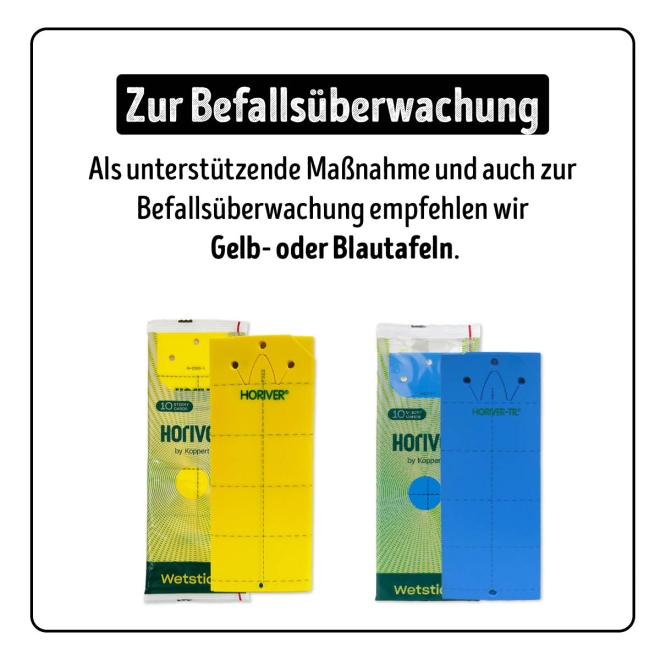 Larven-Stopp - SF-Nematoden gegen Trauermücken- & Thripslarven für 20 m²