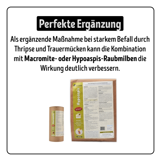 Larven-Stopp - SF-Nematoden gegen Trauermücken- & Thripslarven für 5 m²
