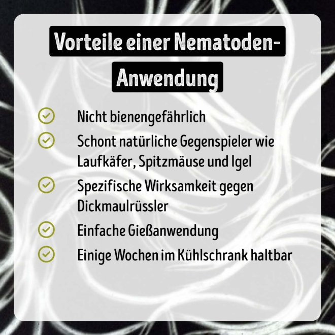 Rüssler-Stopp - HB-Nematoden gegen Dickmaulrüssler-Larven für 50 m²