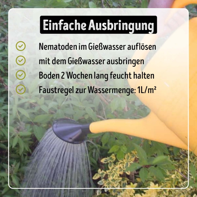 Rüssler-Stopp - HB-Nematoden gegen Dickmaulrüssler-Larven für 50 m²