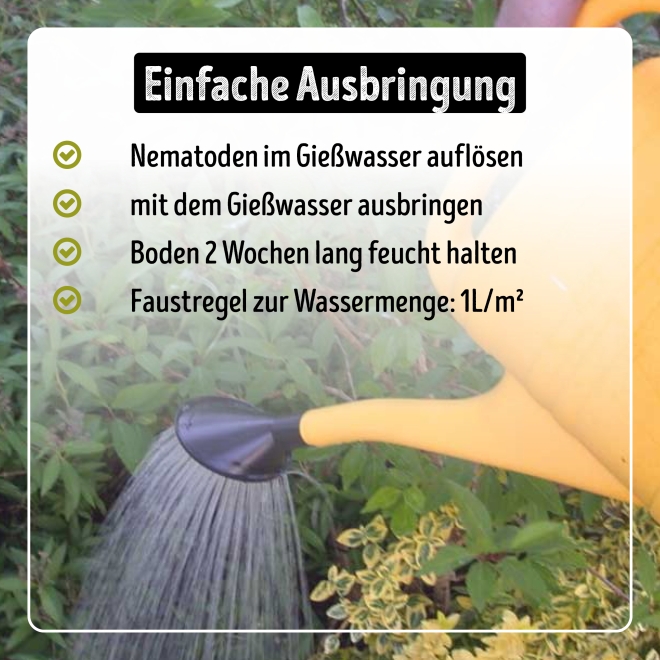Nema-Stopp Nematoden geg. Maulwurfsgrillen, Wiesenschnaken, Erdraupen für 50 m²