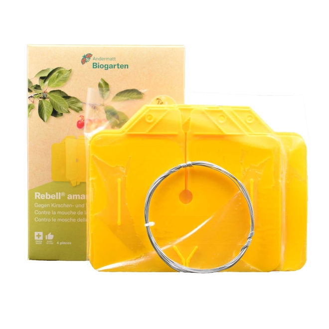 Kreuzfalle gelb (Rebell® amarillo) | 4 Stk.