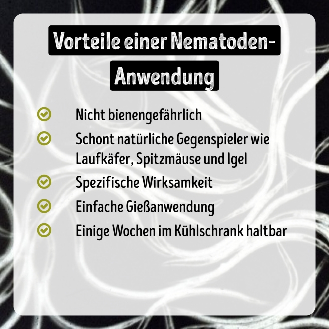 Nema-Stopp Nematoden geg. Maulwurfsgrillen, Wiesenschnaken, Erdraupen für 100m²