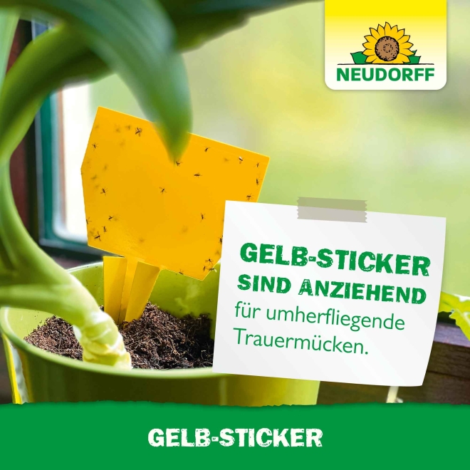 Gelb-Sticker | 10 Stk.