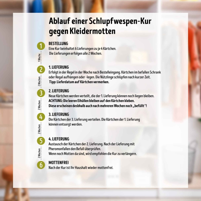 Schlupfwespen-Kur gegen Kleidermotten