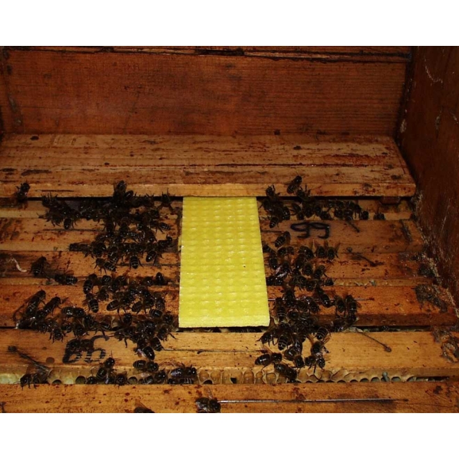 Thymovar - zur Varroa-Sommerbehandlung | 10 Plättchen