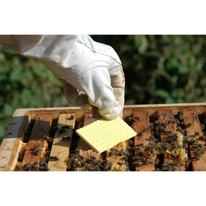 Thymovar - zur Varroa-Sommerbehandlung | 10 Plättchen