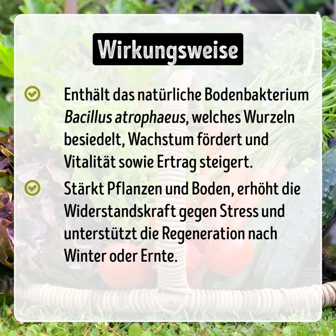 Wurzelkraft Plus – wachstumsfördernde Bodenbakterien für starke Wurzeln & kräftige Pflanzen – ideal nach Schädlingsbefall | 200 ml