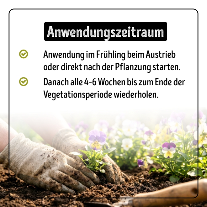 Wurzelkraft Plus – wachstumsfördernde Bodenbakterien für starke Wurzeln & kräftige Pflanzen – ideal nach Schädlingsbefall | 200 ml