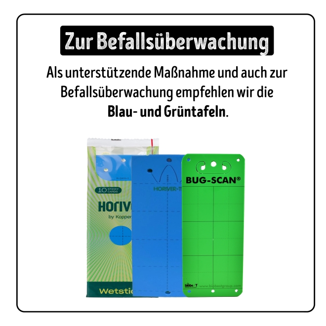 Cucumeris - Raubmilben gegen Thripse, Tee- & Erdbeermilben 1 Säckchen