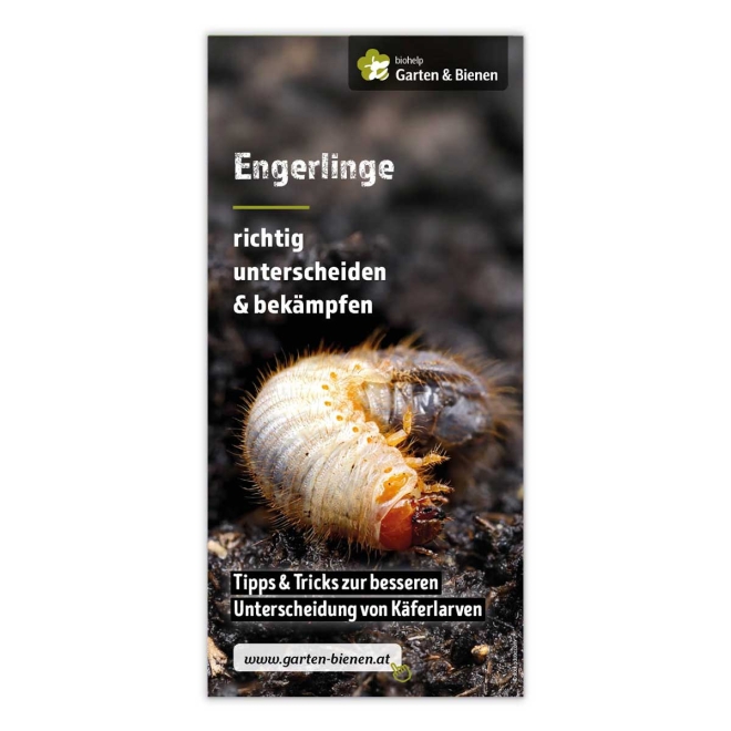 Faltblatt Engerlinge