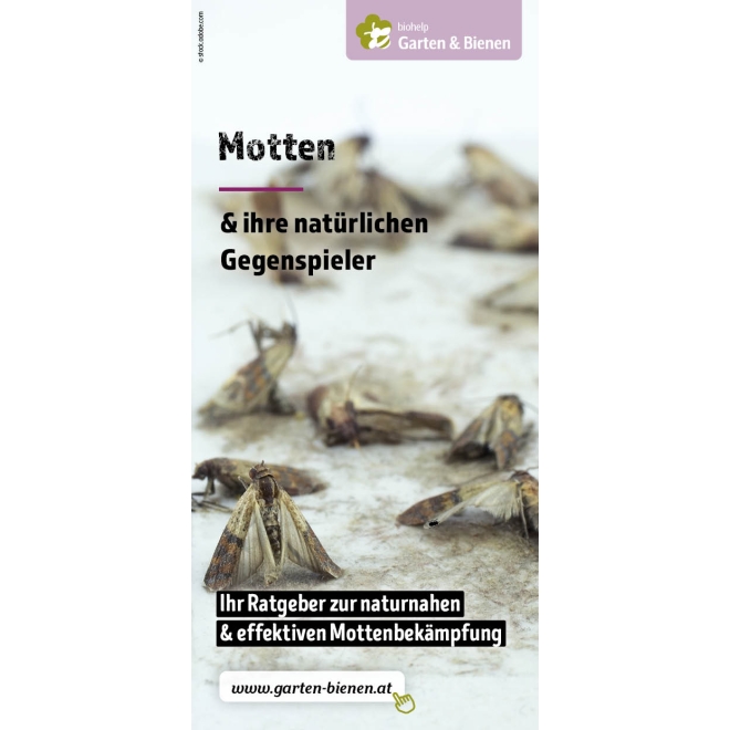 Faltblatt Motten