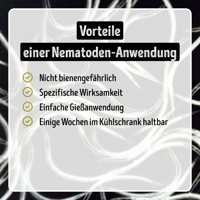 Larven-Stopp - SF-Nematoden gegen Trauermücken- & Thripslarven für 500 m²
