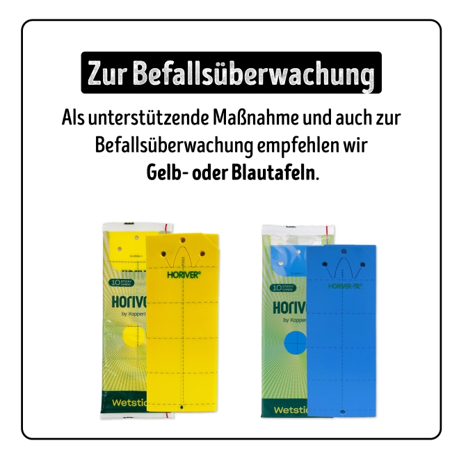 Larven-Stopp - SF-Nematoden gegen Trauermücken- & Thripslarven für 500 m²