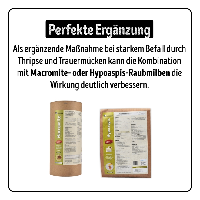 Larven-Stopp - SF-Nematoden gegen Trauermücken- & Thripslarven für 500 m²