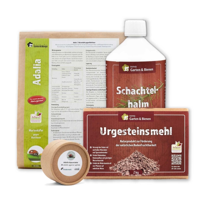 Rosen-Kavalier – Vorteilspaket zur biologischen Bekämpfung von Blattläusen & Pilzen