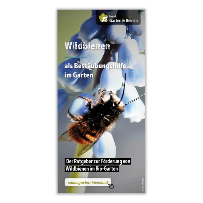 Faltblatt Wildbienen