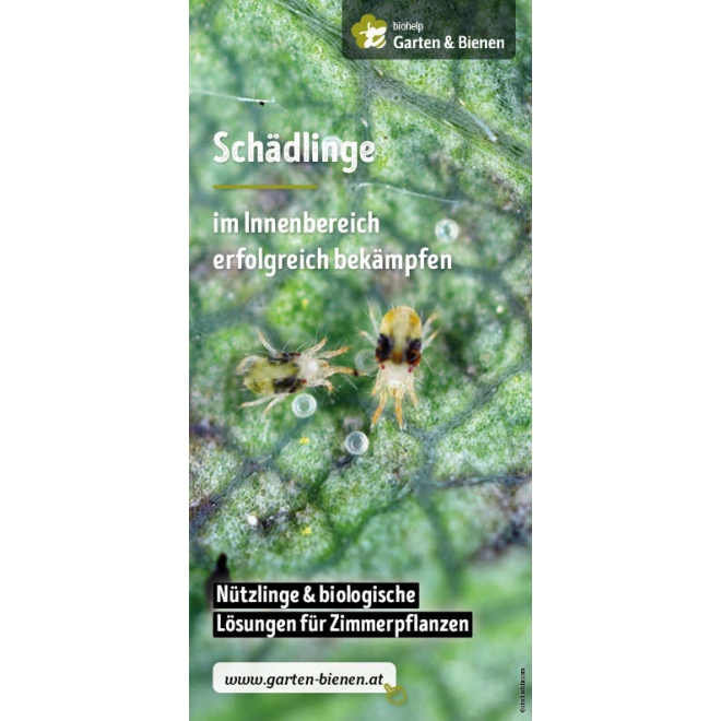 Faltblatt: Schädlinge im Innenbereich erfolgreich bekämpfen
