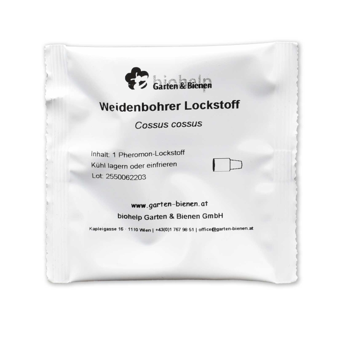 Lockstoff für Weidenbohrer I 1 Stk.