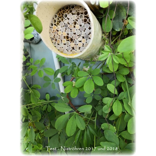 Keramik Wildbienennisthilfe "Mintgrün"