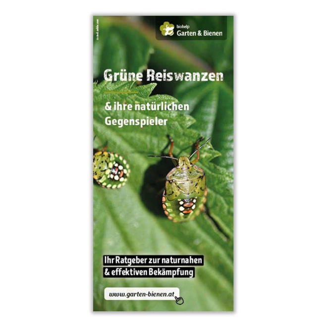 Faltblatt Grüne Reiswanzen