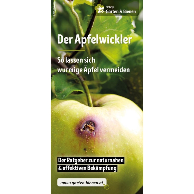 Faltblatt: Apfelwickler