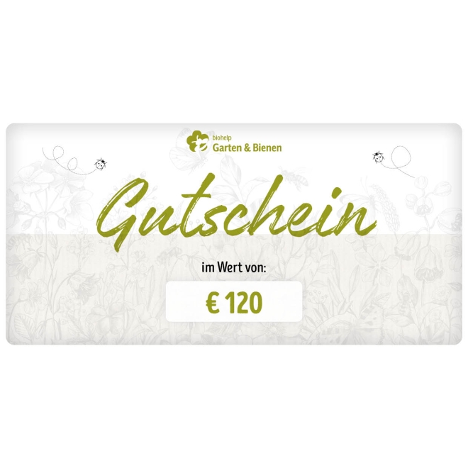 Webshop Gutschein € 120
