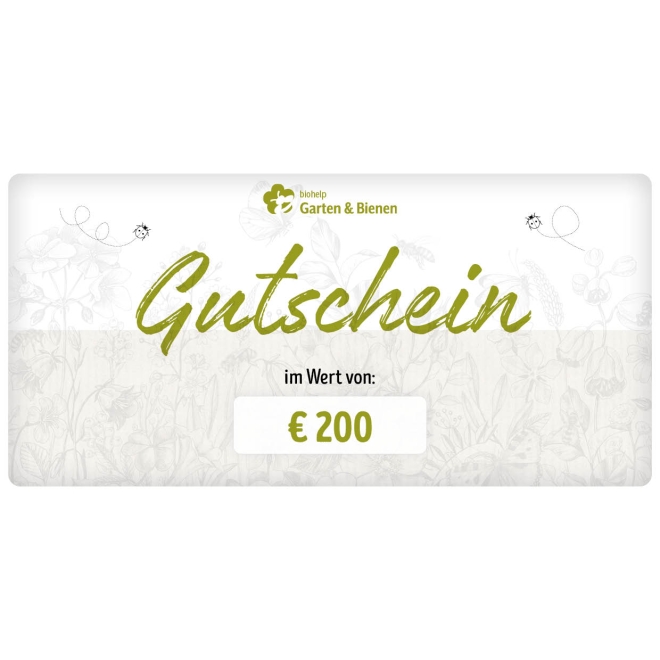 Webshop Gutschein € 200