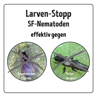 Larven-Stopp - SF-Nematoden gegen Trauermücken- & Thripslarven für 20 m²
