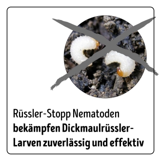Rüssler-Stopp - HB-Nematoden gegen Dickmaulrüssler-Larven für 50 m²