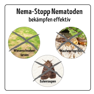 Nema-Stopp Nematoden geg. Maulwurfsgrillen, Wiesenschnaken, Erdraupen für 50 m²