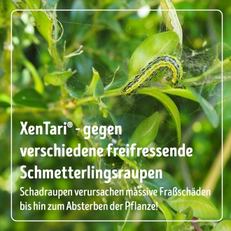 XenTari - gegen Buchsbaumzünsler & freifressende Schmetterlingsraupen | 4 x 3 g