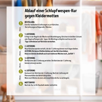 Schlupfwespen-Kur gegen Kleidermotten