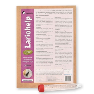 Lariohelp - Lagererzwespen gegen vorratsschädigende Käfer | 30 Adulte