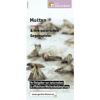 Faltblatt Motten