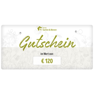 Webshop Gutschein € 120