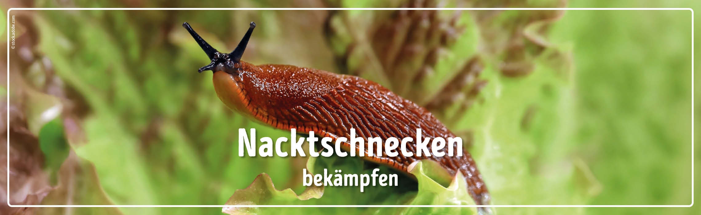 neues Silderelement 1