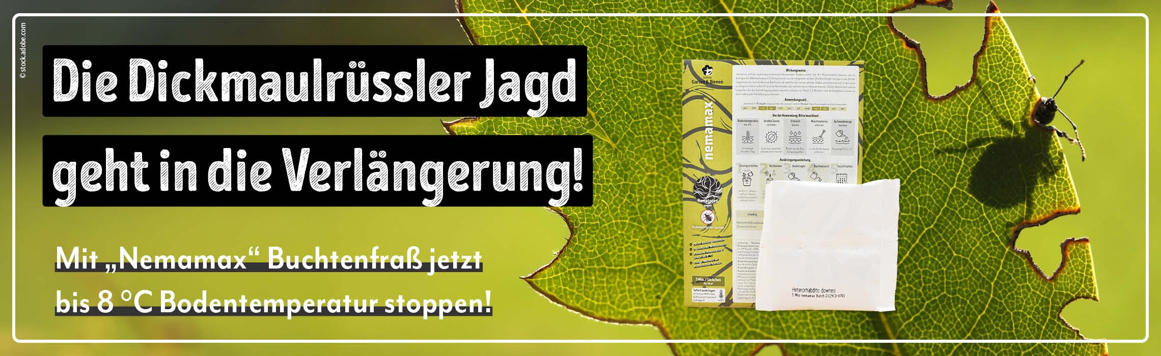 Nemamax Herbst