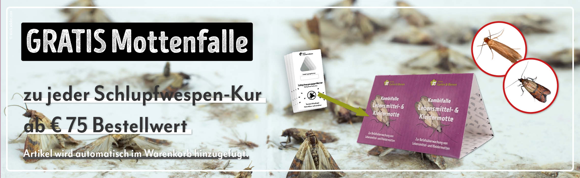 Gratis mottenfalle